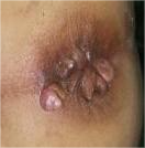 0687fc317b5e08e4e5788da59c28234