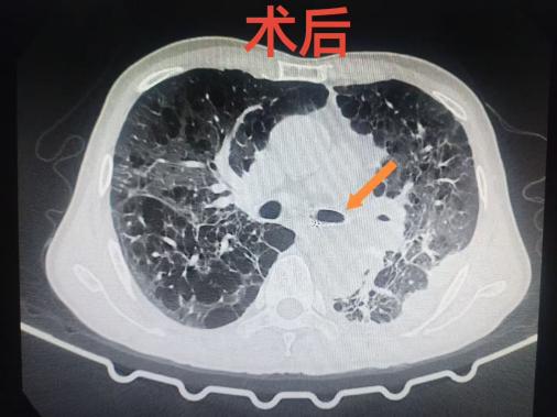 微信图片_20260111211950_279_290